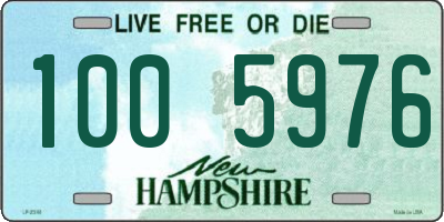 NH license plate 1005976
