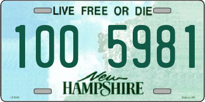 NH license plate 1005981