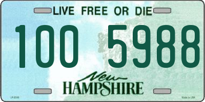 NH license plate 1005988