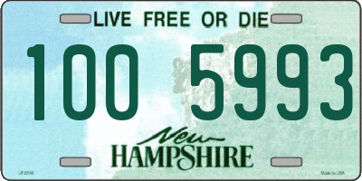 NH license plate 1005993