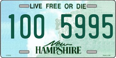 NH license plate 1005995