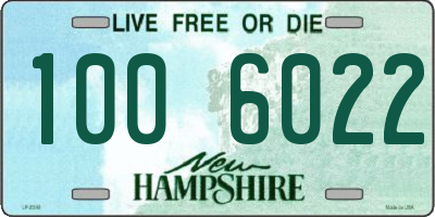 NH license plate 1006022