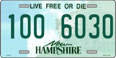 NH license plate 1006030