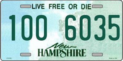 NH license plate 1006035