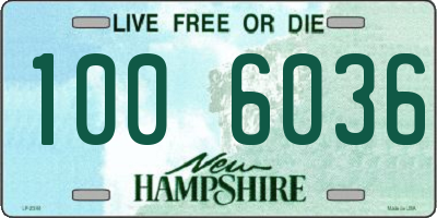 NH license plate 1006036