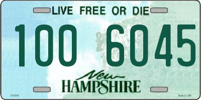 NH license plate 1006045
