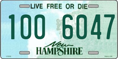 NH license plate 1006047