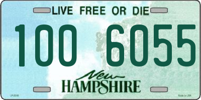 NH license plate 1006055