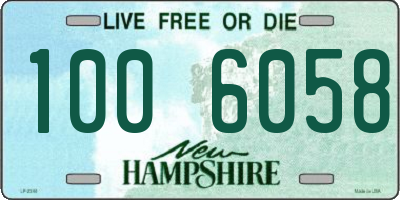 NH license plate 1006058