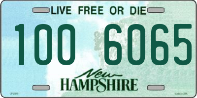 NH license plate 1006065