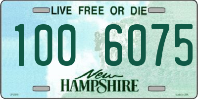 NH license plate 1006075