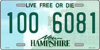 NH license plate 1006081