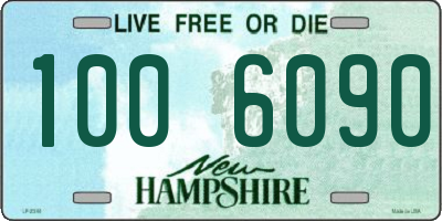 NH license plate 1006090