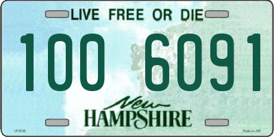 NH license plate 1006091