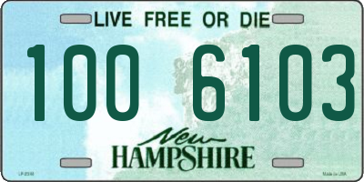 NH license plate 1006103