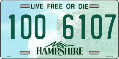 NH license plate 1006107