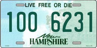 NH license plate 1006231