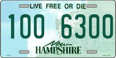 NH license plate 1006300