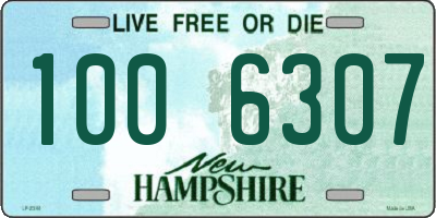 NH license plate 1006307