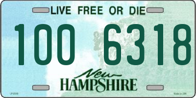 NH license plate 1006318