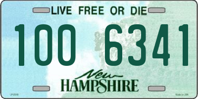 NH license plate 1006341