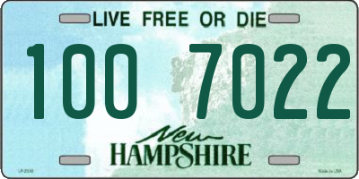 NH license plate 1007022