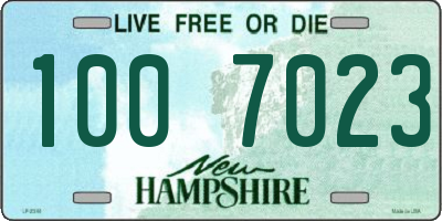 NH license plate 1007023