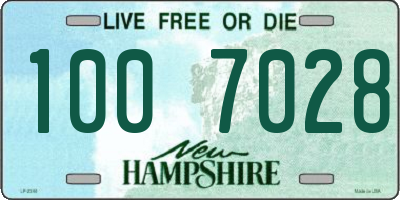 NH license plate 1007028