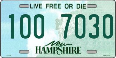 NH license plate 1007030