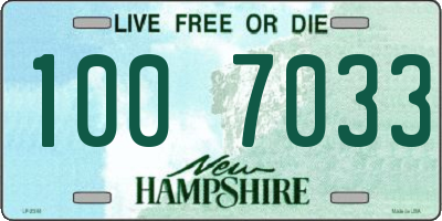 NH license plate 1007033