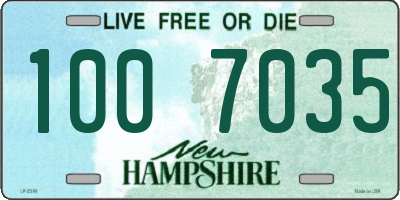 NH license plate 1007035