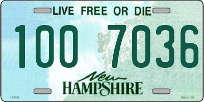 NH license plate 1007036