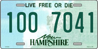 NH license plate 1007041
