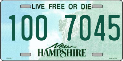 NH license plate 1007045