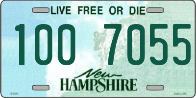 NH license plate 1007055