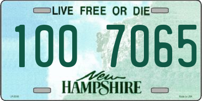 NH license plate 1007065