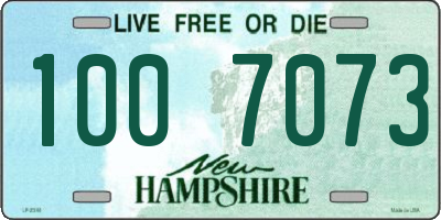 NH license plate 1007073