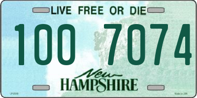 NH license plate 1007074