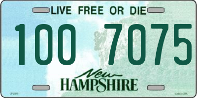 NH license plate 1007075