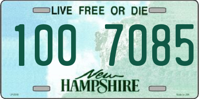 NH license plate 1007085