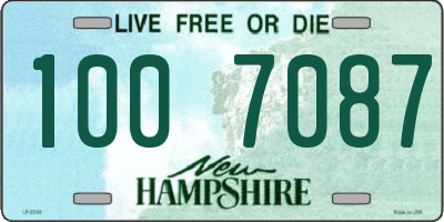 NH license plate 1007087