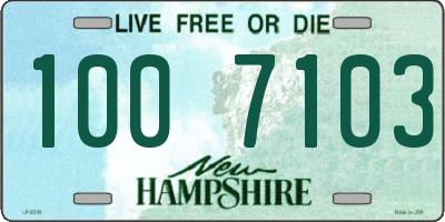 NH license plate 1007103