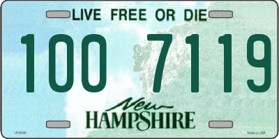 NH license plate 1007119