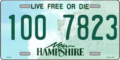 NH license plate 1007823