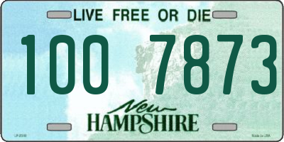 NH license plate 1007873