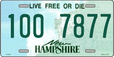 NH license plate 1007877