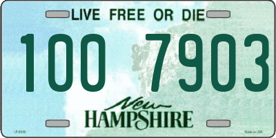 NH license plate 1007903