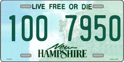 NH license plate 1007950