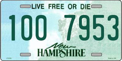 NH license plate 1007953