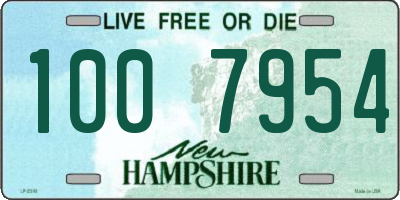 NH license plate 1007954